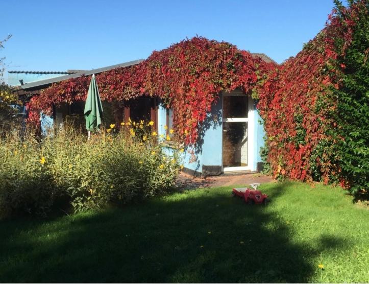 Blaues Haus Neu Reddevitz Villa Lancken-Granitz Exterior foto